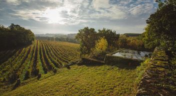 Visite d'un domaine viticole et dégustation d'armagnacs à Lectoure