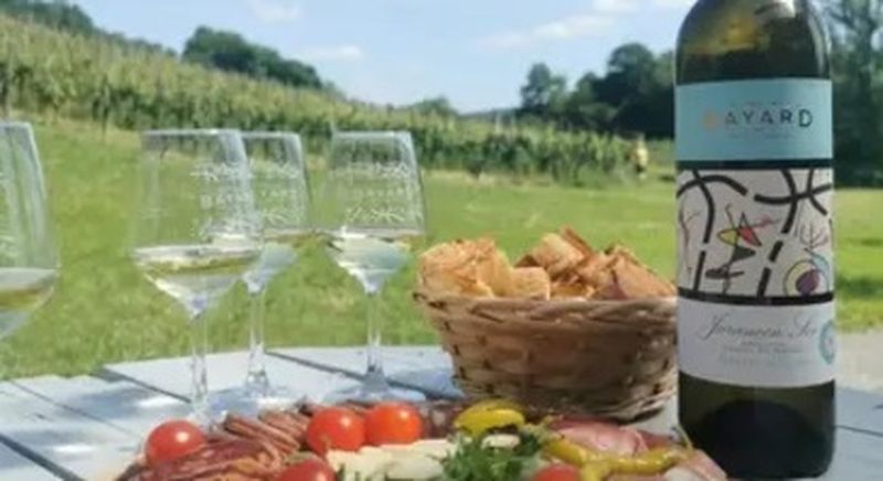 Atelier accord mets et vins à Monein dans un domaine viticole près de Pau