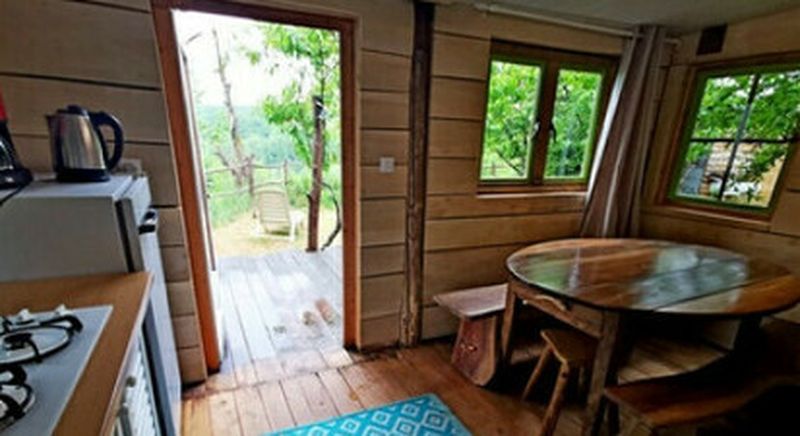 Évasion insolite : un séjour nature avec sylvothérapie en cabane