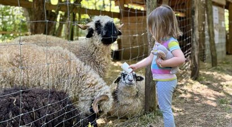 Parc animalier près de Besançon - Accès estival