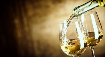 Dégustation de vins et atelier œnologique à Angers