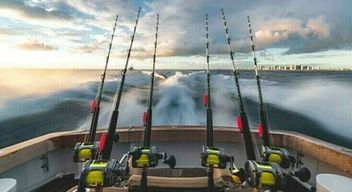 Pêche sportive depuis le port de Palavas les Flots