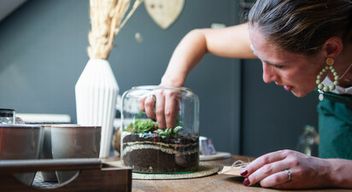 Atelier de création d'un terrarium à Wambrechies près de Roubaix