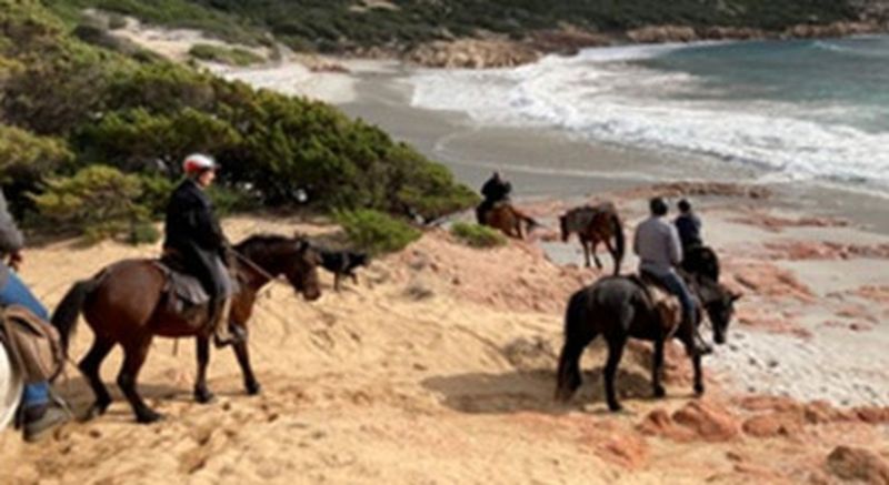 Séjour et randonnées à cheval en plein cœur de la Corse sauvage