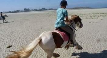 Balade à cheval accompagnées à Plouguerneau - Circuit plage ou campagne