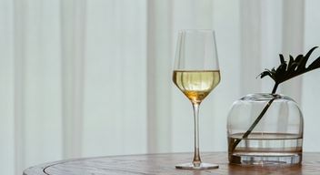 Atelier d'œnologie et Dégustation de vins à Toulouse