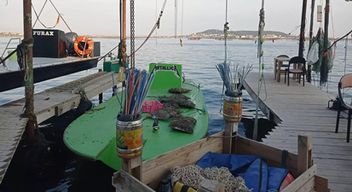 Dégustation d'huîtres et Visite d'une exploitation ostréicole à Bouzigues près de Montpellier