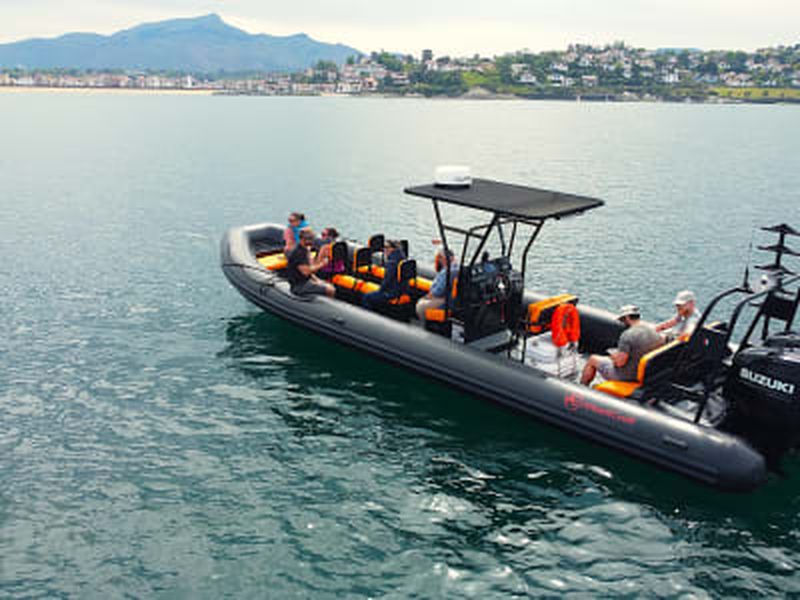 Balade en bateau sur les côtes basques depuis Saint-Jean-de-Luz