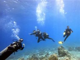 Plongée exploration à Tikehau, Polynésie française