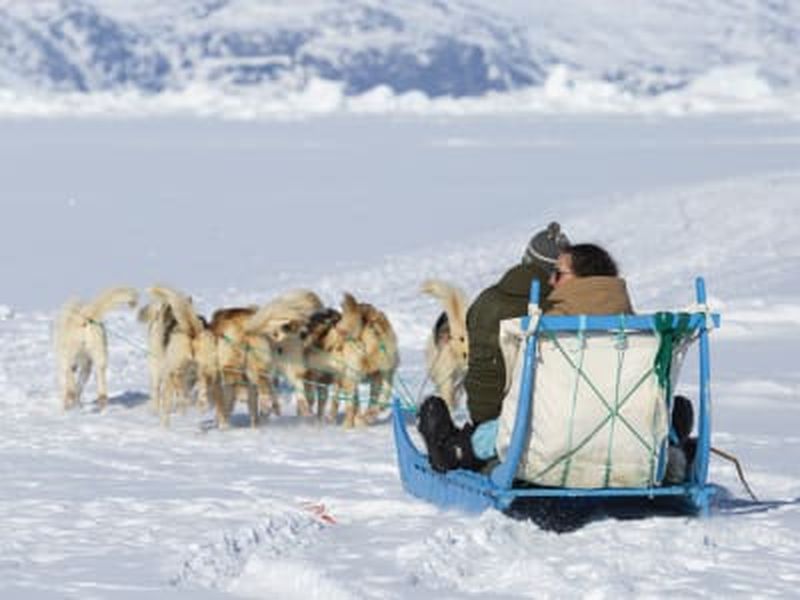 Randonnée guidée en chiens de traîneau à Ilulissat