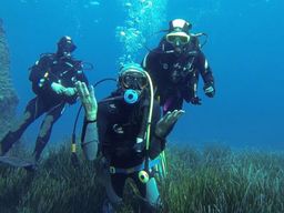 Plongée exploration à Sisco au Cap Corse, près de Bastia