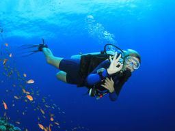 Plongées exploration autonomes dans la baie de Saint-Leu à La Réunion