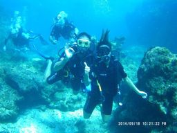 Plongée de réadaptation à Saint-François, Guadeloupe