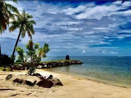 Visite guidée privée de Raiatea depuis Uturoa en mini van