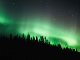 Randonnée en raquettes dans les montagnes pour les aurores boréales au départ d'Åre