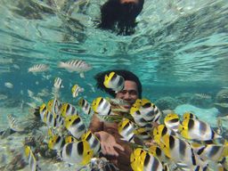 Excursion en bateau avec snorkeling dans le lagon de Taha'a au départ de Taha'a