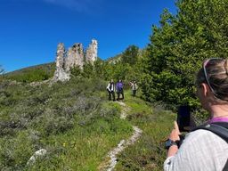 Randonnée en forêt de Vizzavona près de Corte