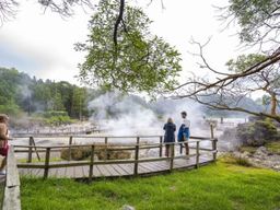 Visite guidée privée de la vallée de Furnas et des sources thermales du Parque Terra Nostra à São Miguel, Açores