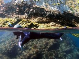 Excursion en bateau de snorkeling dans la Reserva Natural de las Berlengas depuis Peniche