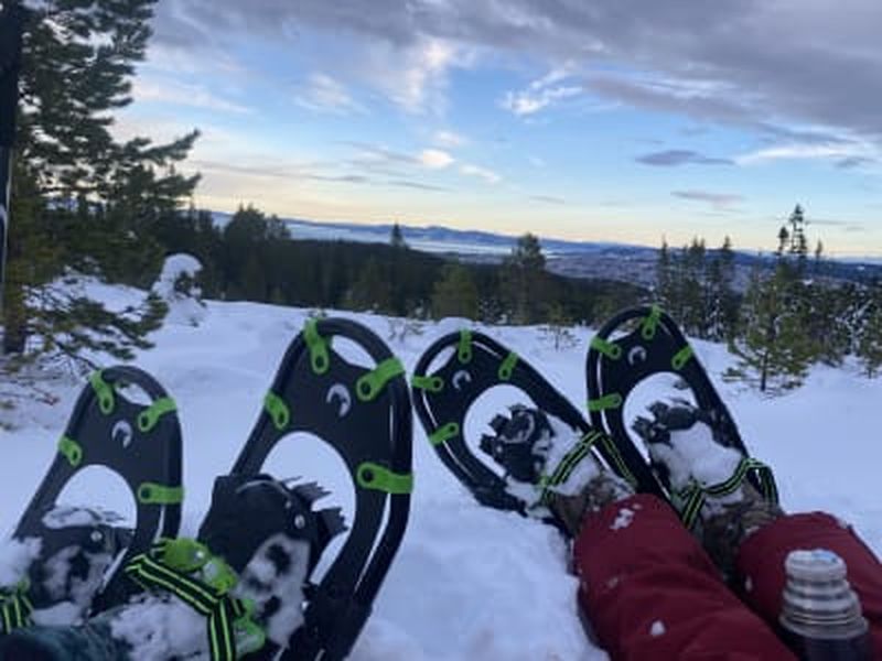 Excursion en raquettes à Bymarka au départ de Trondheim