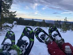 Excursion en raquettes à Bymarka au départ de Trondheim