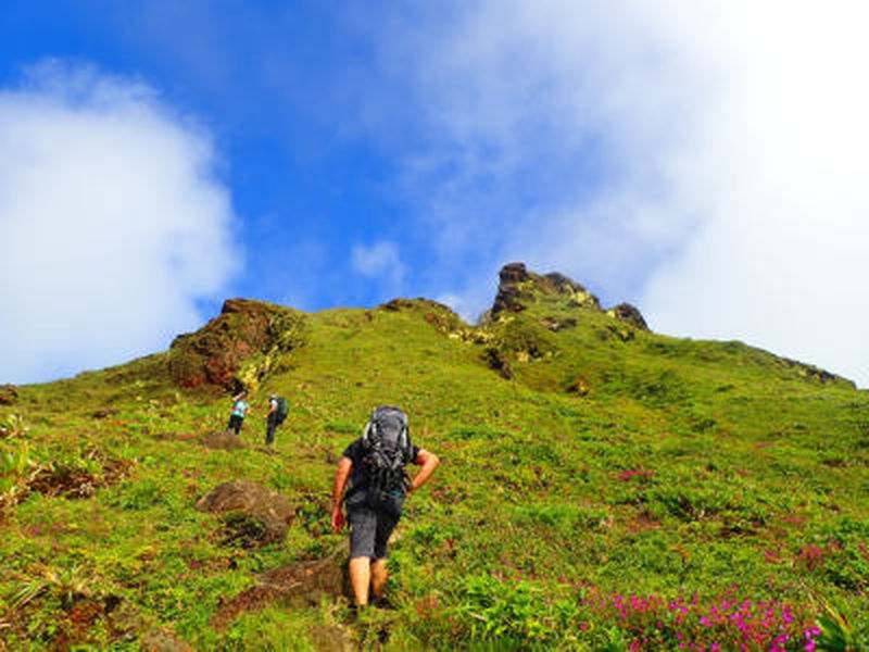 Randonnée guidée sur le volcan de la Soufrière en Guadeloupe