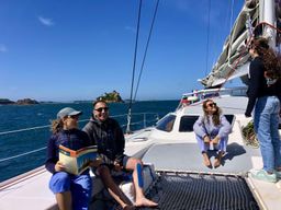 Balade en catamaran dans la baie de Morlaix depuis Roscoff