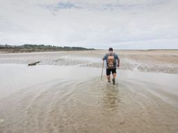 Randonnée guidée avec observation des oiseaux et phoques dans la Baie de Somme