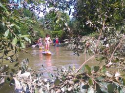 Excursion en stand up paddle dans le Pays Basque, au départ de Bayonne