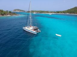Excursion catamaran et plongée avec les tortues aux Anses-d'Arlet, Martinique