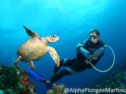 Plongée exploration aux Anses-d'Arlet, Martinique