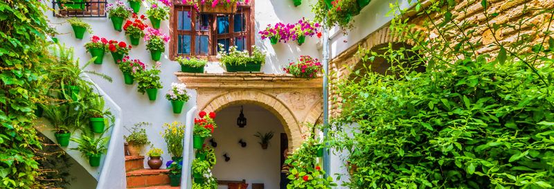 Free tour des patios de Cordoue