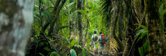 Free tour dans le parc national de Los Haitises