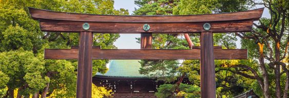 Free tour dans le sanctuaire Meiji et le parc Yoyogi