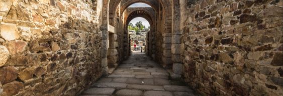 Visite complète de Mérida avec billet d'entrée