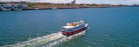 Balade en bateau dans l'estuaire de Huelva + Dégustation de gambas