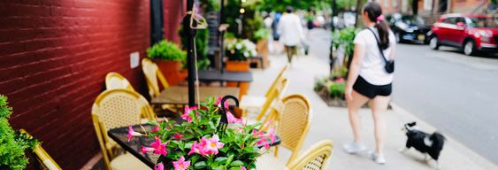 Free tour gastronomique dans le Greenwich Village de nuit