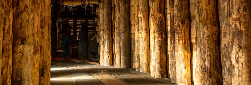 Excursion à la Mine de Sel de Wieliczka