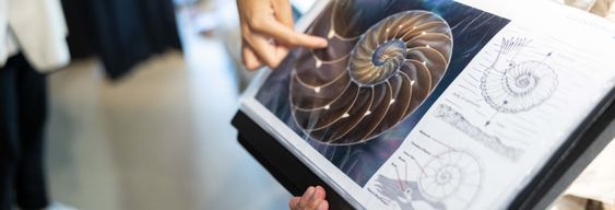 Balade en bateau vers le flysch noir de Mutriku + Centre d'interprétation Nautilus