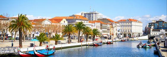 Visite de la Costa Nova + Salines + Balade en bateau moliceiro