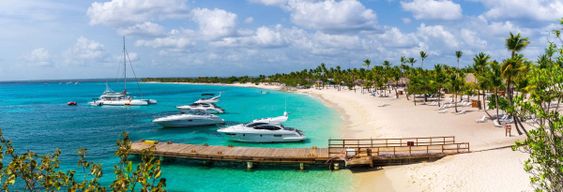 Excursion à l'île Catalina avec snorkeling