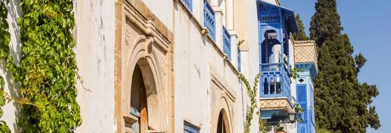 Free tour dans Sidi Bou Said