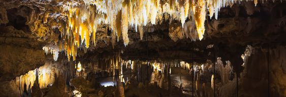 Visite guidée de la grotte du Grand Roc