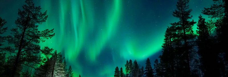 Balade en traîneau tiré par des chiens huskies sous les aurores boréales