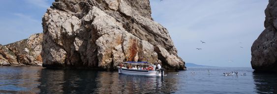 Balade en bateau aux îles Medes et au parc naturel du Montgrí
