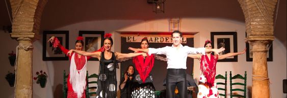 Spectacle de flamenco au tablao El Cardenal