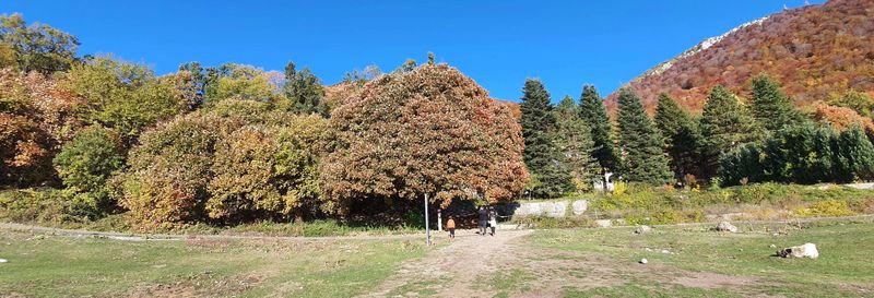 Excursion au Mont Dajt + BunkArt 1