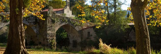 Excursion à Ribeira Sacra et à Allariz
