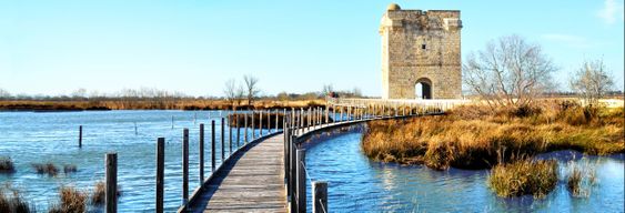 Excursion à Aigues-Mortes et à la Tour Carbonnière