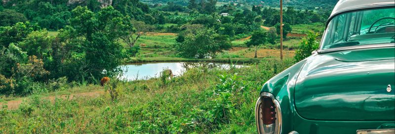 Excursion privée dans la Vallée de Viñales en voiture d'époque